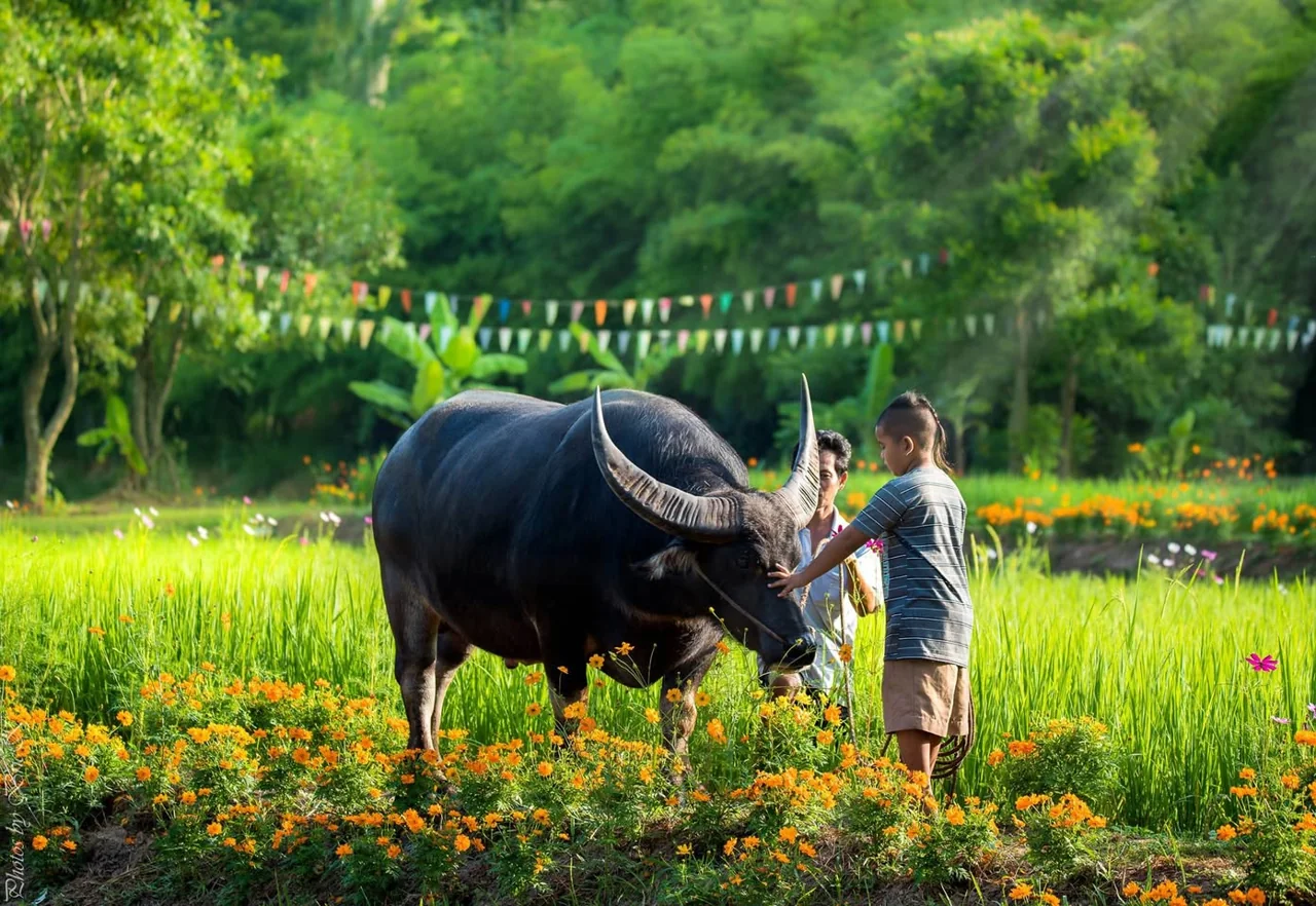 A child and a buffalo among bright green plants and flowers.