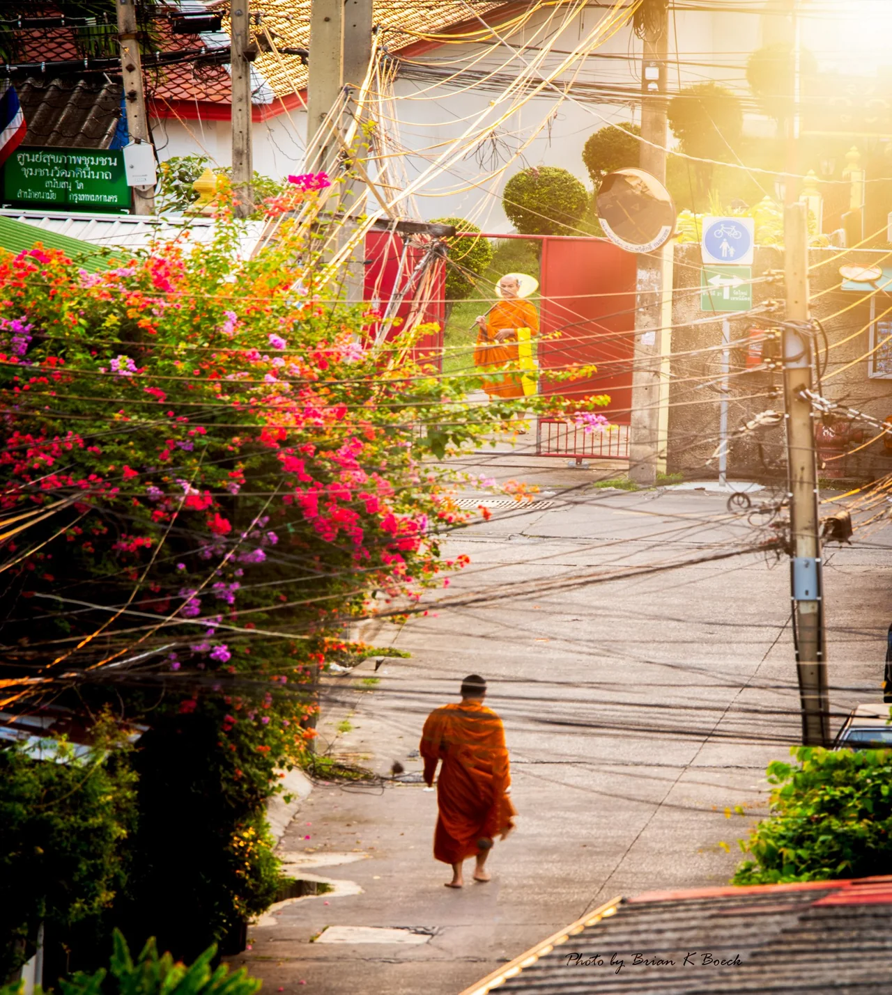 A sunlit street with bright flowers and a person in orange robes.