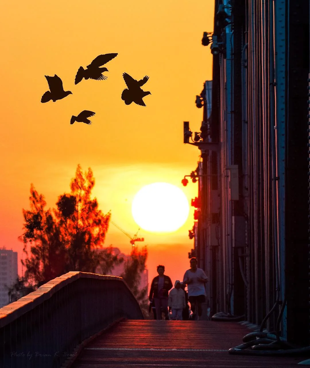 Birds cross the warm sky above sunset bridge pedestrians.
