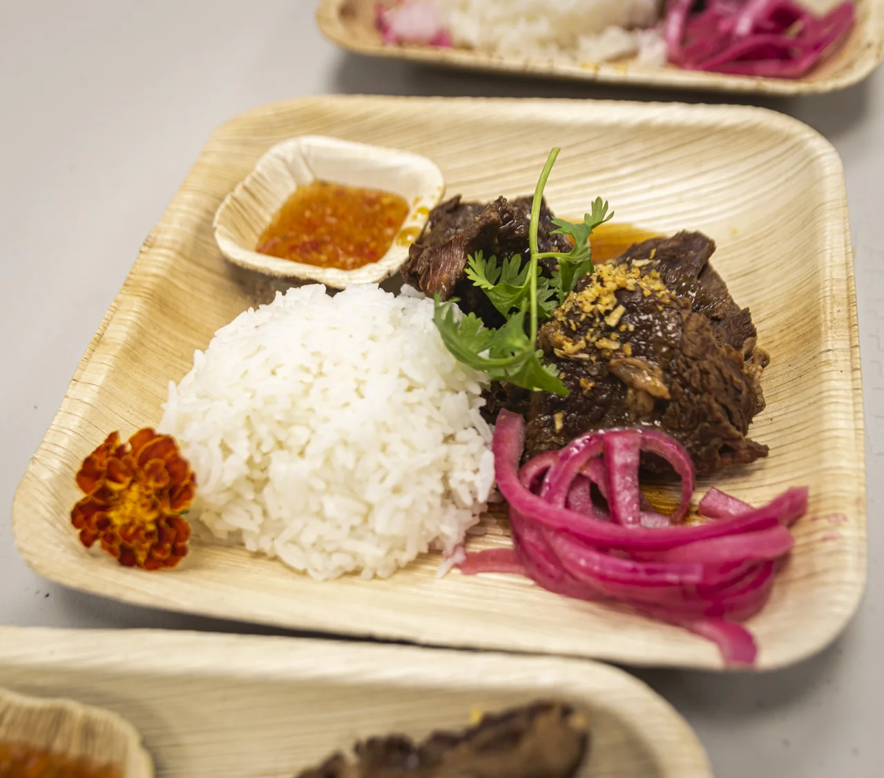 Meat, rice and colorful garnish are arranged together on a plate.