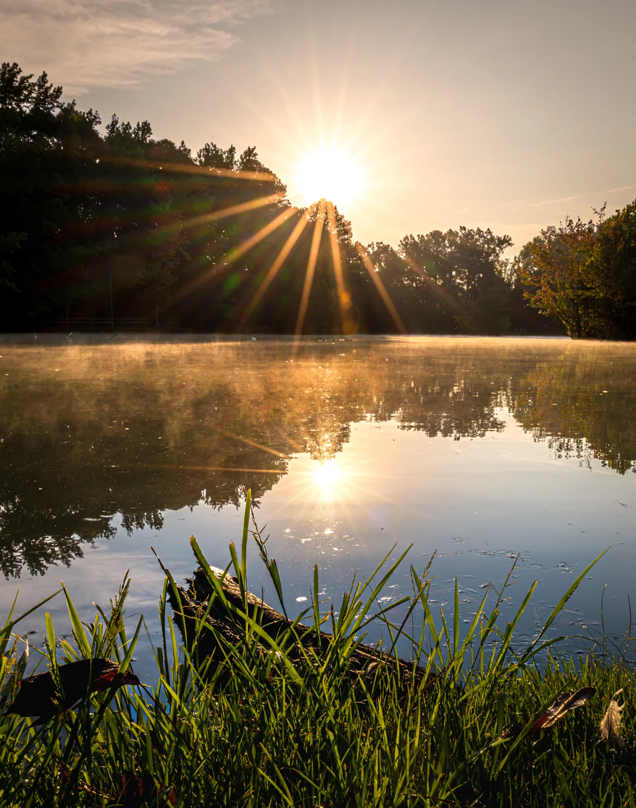 A low sun forms a starburst above trees and reflects in still water.